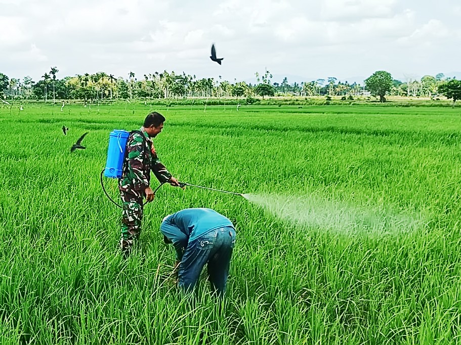 Gambar warga desa Jawa tradisional yang sedang beraktivitas di sawah hijau.