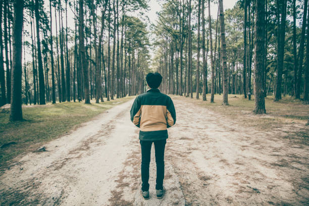 Hutan Pinus Mangunan: Kesejukan Alam dan Spot Foto Instagramable