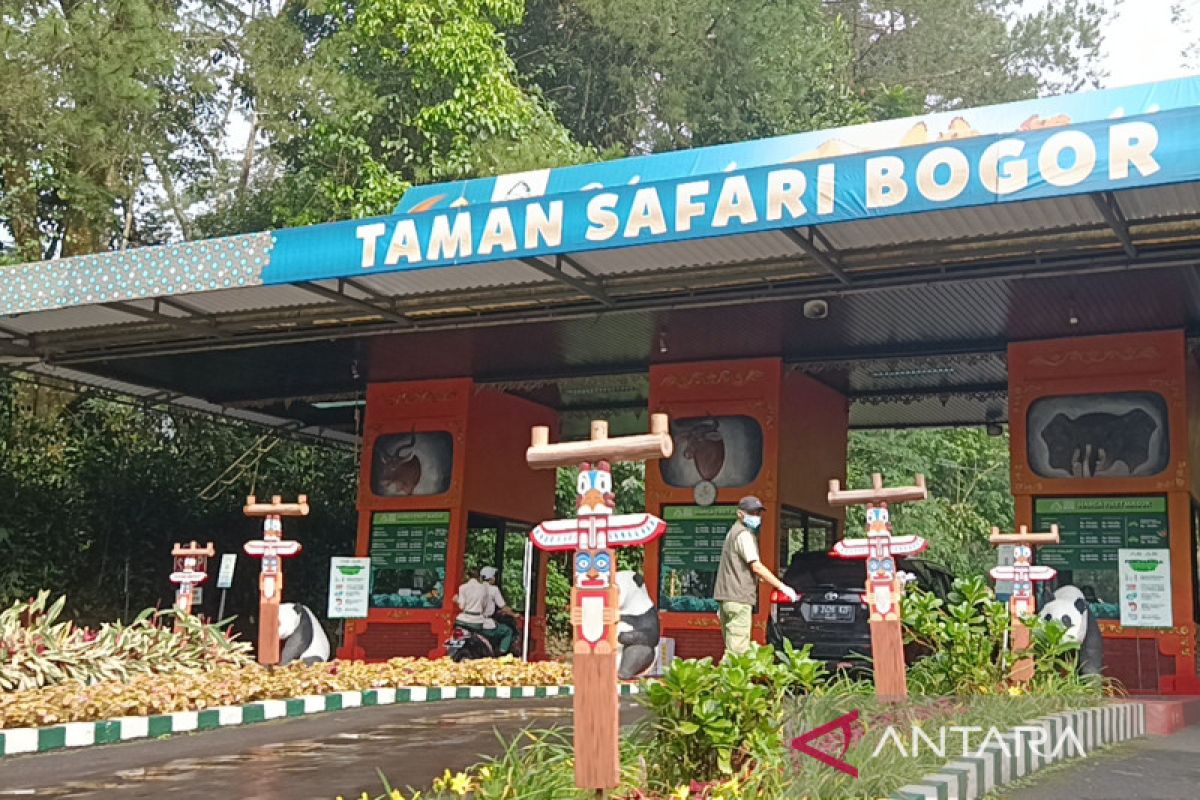 Pintu masuk Taman Safari Indonesia dengan gerbang dan pepohonan di sekitarnya.