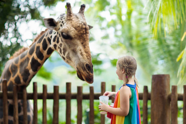 Anak-anak sedang melihat jerapah di Kebun Binatang Bandung dengan ekspresi gembira.