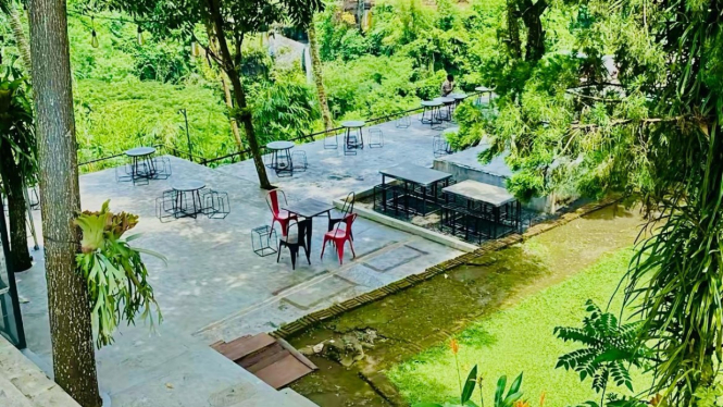 Pintu masuk cafe yang tersembunyi di balik semak-semak hijau, dengan suasana misterius.