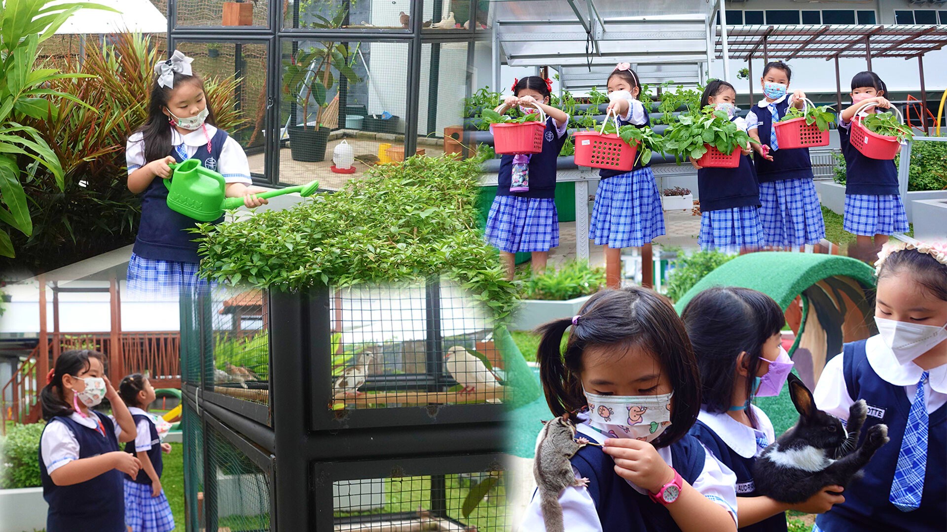 Anak-anak sekolah berinteraksi dengan tanaman atau hewan di lingkungan outdoor sekolah alam, suasana gembira.
