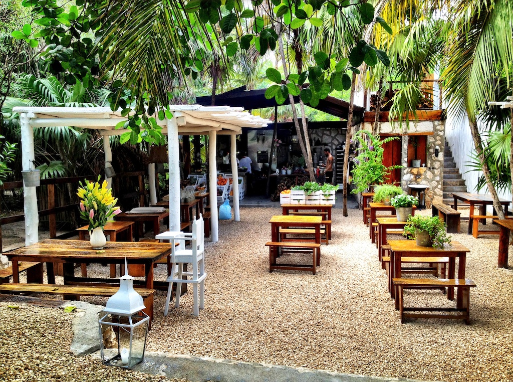 Area outdoor cafe dengan banyak tanaman hijau dan kursi kayu.