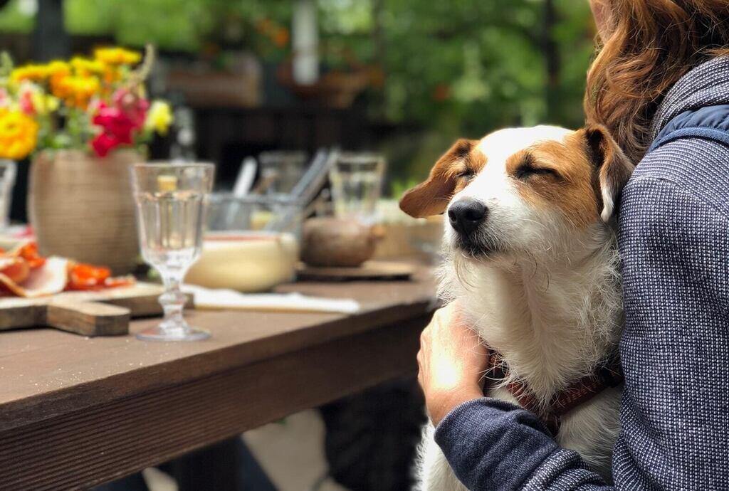 Orang sedang bersantai di cafe outdoor dengan anjing peliharaannya duduk di sampingnya.