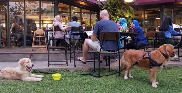 Orang duduk di cafe outdoor dengan anjing peliharaan yang sedang beristirahat di bawah meja.