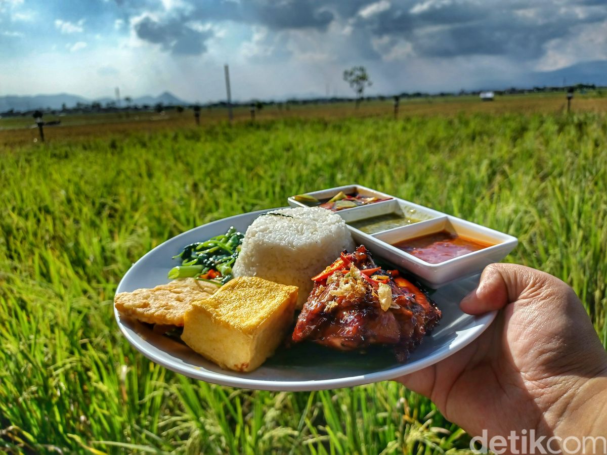 Nasi timbel komplit disajikan di saung pinggir sawah dengan pemandangan sawah hijau yang menenangkan.