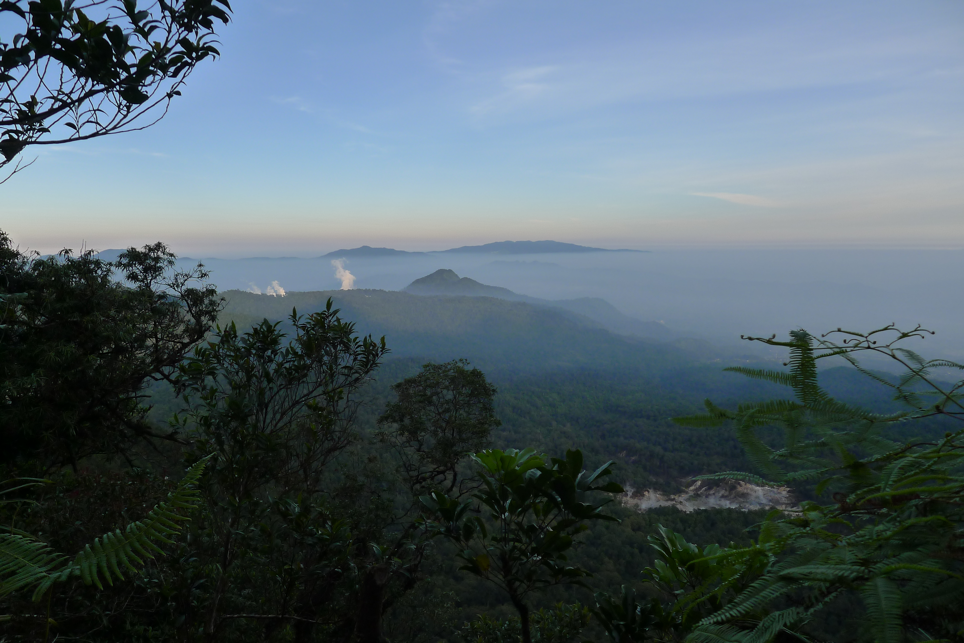 Pemandangan hutan pinus dan kabut di Taman Nasional Gunung Halimun Salak.