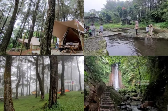 Tenda glamping mewah di tengah hutan pinus dengan pemandangan kabut di pagi hari.