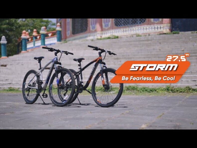 Wimcycle Storm 27.5" Alloy