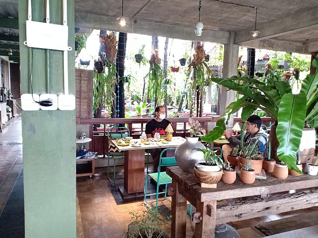 Seorang influencer berpose di sudut kafe dengan desain interior yang estetik dan banyak tanaman hias.