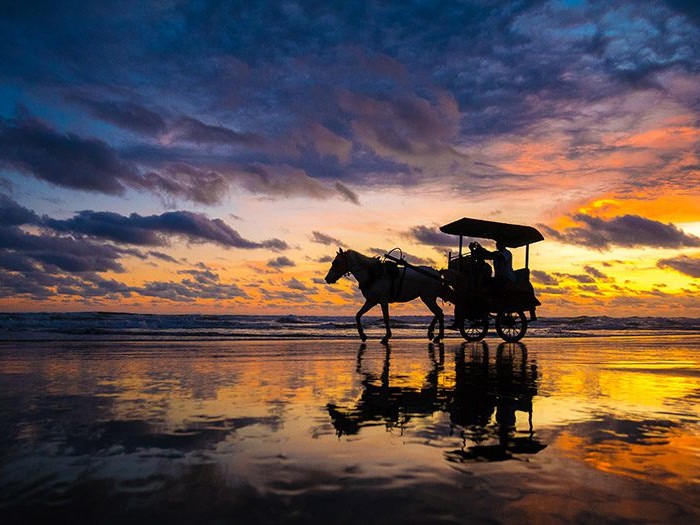 Gambar Pantai Parangtritis saat matahari terbenam dengan orang-orang menunggang kuda dan ATV.
