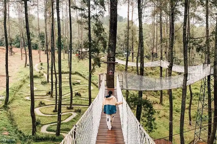 Pengunjung berpose di jembatan gantung kayu di tengah hutan pinus Orchid Forest Cikole.