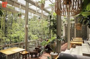 Interior sebuah kafe modern di Bandung dengan banyak tanaman hijau dan pencahayaan alami.