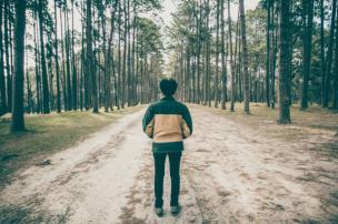 Hutan Pinus Mangunan: Kesejukan Alam dan Spot Foto Instagramable