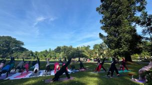 Area yoga outdoor di villa dengan latar belakang pepohonan rimbun yang menenangkan di Bogor.