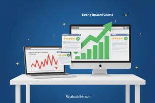 peran_penting_backlink_berkualitas_dalam_mencapai_kesuksesan_seo