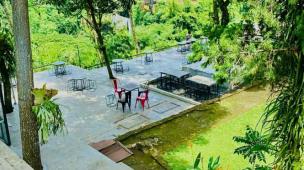 Pintu masuk cafe yang tersembunyi di balik semak-semak hijau, dengan suasana misterius.