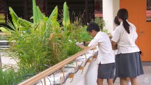 Gambar siswa-siswi sedang mengamati panel surya di atap gedung sekolah atau merawat tanaman di kebun sekolah.