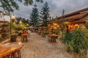 Area outdoor cafe dengan meja dan kursi di bawah pepohonan rindang.