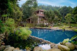 Kolam renang pribadi di villa dengan latar belakang pemandangan hijau pegunungan di Bogor.