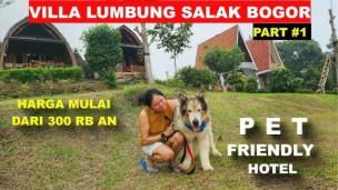 Anjing dan pemiliknya bersantai di halaman rumput villa pet-friendly yang luas di Bogor.