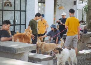Seseorang sedang bermain dengan anjingnya di area outdoor cafe yang pet friendly.