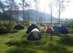 Tenda-tenda camping di Ranca Upas dengan latar belakang hutan pinus dan rusa.