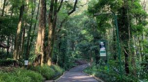 Pasangan lansia berjalan santai di Taman Hutan Raya Ir. H. Djuanda.