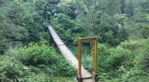 Sebuah keluarga sedang berjalan santai di jalur trekking yang teduh di Tahura Djuanda.