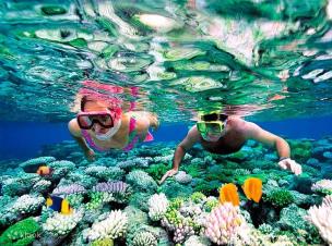 Gambar orang-orang snorkeling di air jernih Pantai Sadranan.