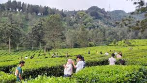 Taman luas di area villa dengan pepohonan rindang dan area duduk outdoor yang nyaman di Bogor.