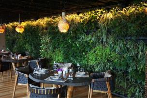 Interior kafe dengan banyak tanaman hijau, air terjun mini, dan pencahayaan hangat, menciptakan suasana secret garden.